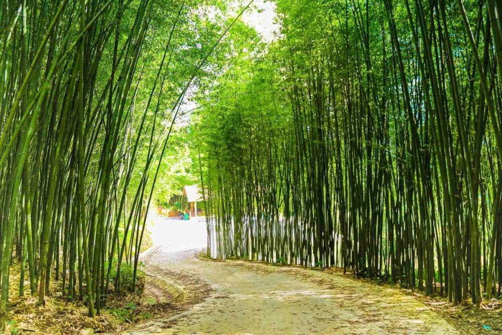 Bao Lac - Sunny Homestay エクステリア 写真